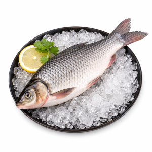 তাজা নদীর ইলিশ মাছ – Premium Hilsa